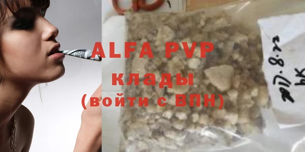 амф Корсаков