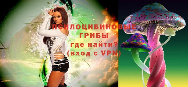 круглые Козельск