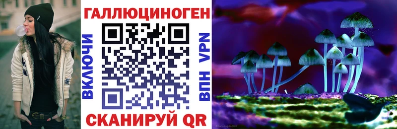Псилоцибиновые грибы Psilocybe  Кинешма 