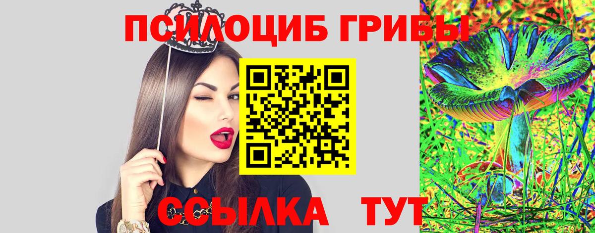 Кинешма  Псилоцибиновые грибы Psilocybine cubensis  Вход с VPN 